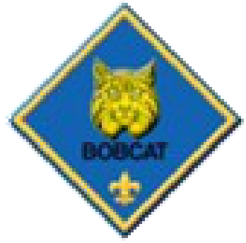 Bobcat rank badge